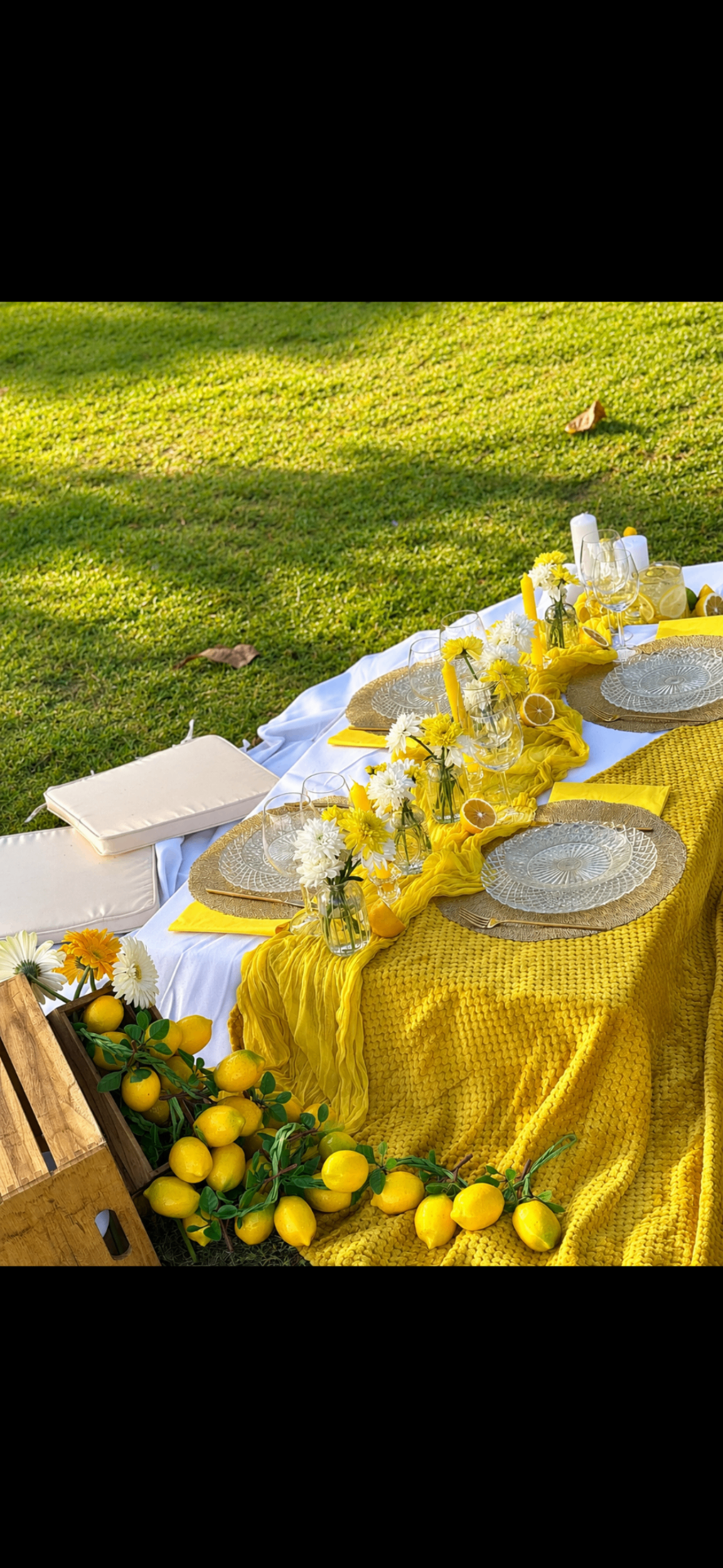 Picnic jaune citron sur l'herbe avec citrons frais et décoration florale au coucher du soleil